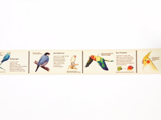 mt ex Encyclopedia of Birds