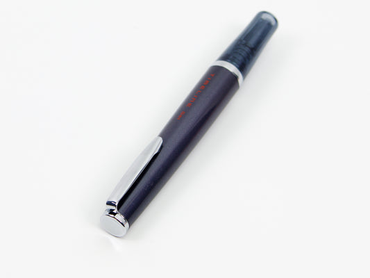Pilot Timeline Gel
