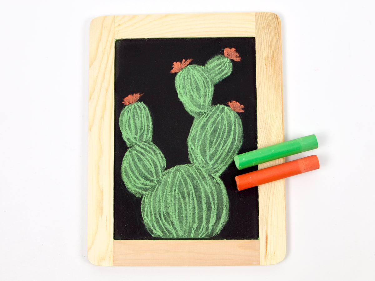 Rikagaku School Dustless Chalk Vitamin Set
