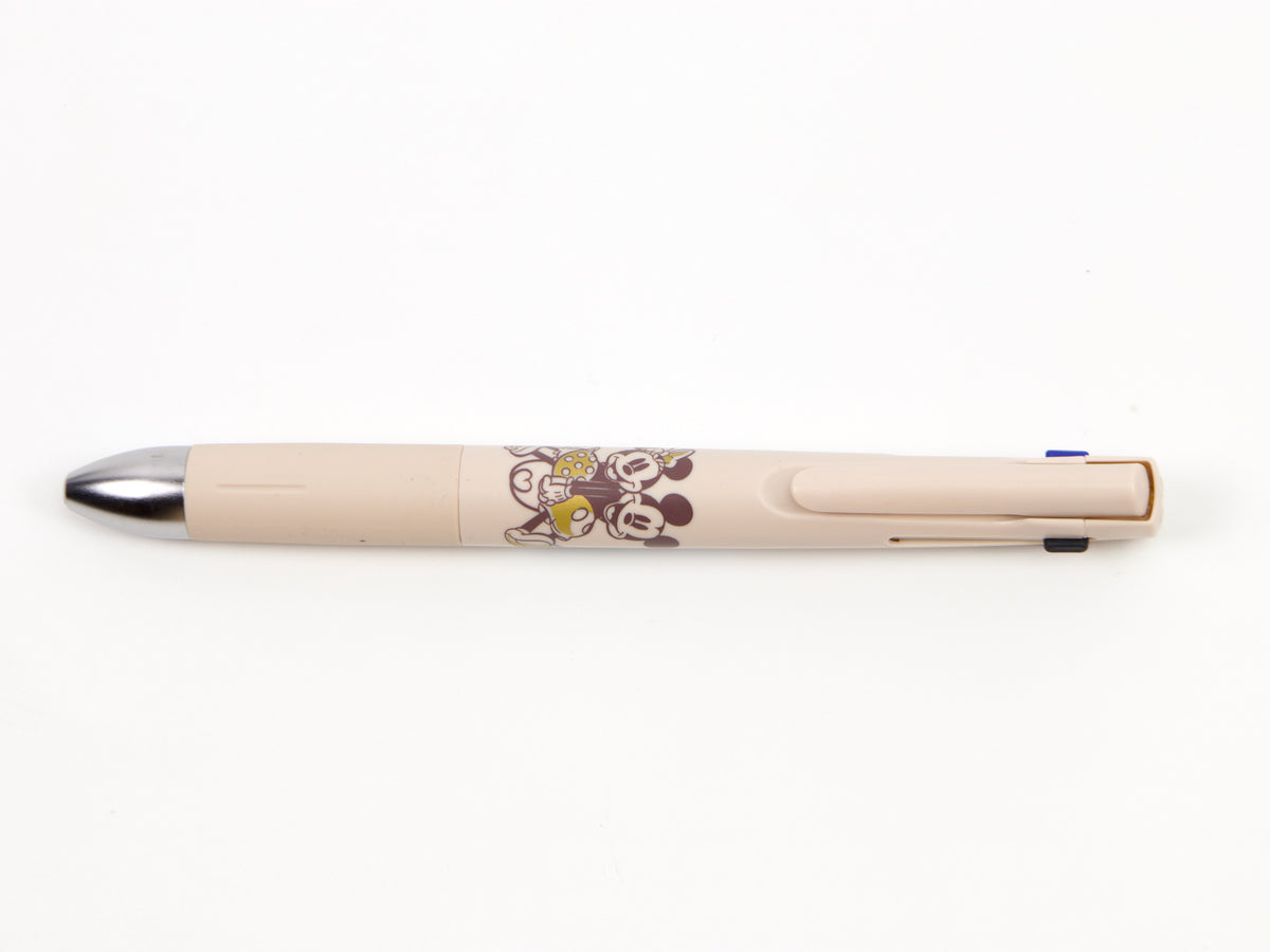 Disney Friends Zebra Blen 4+S