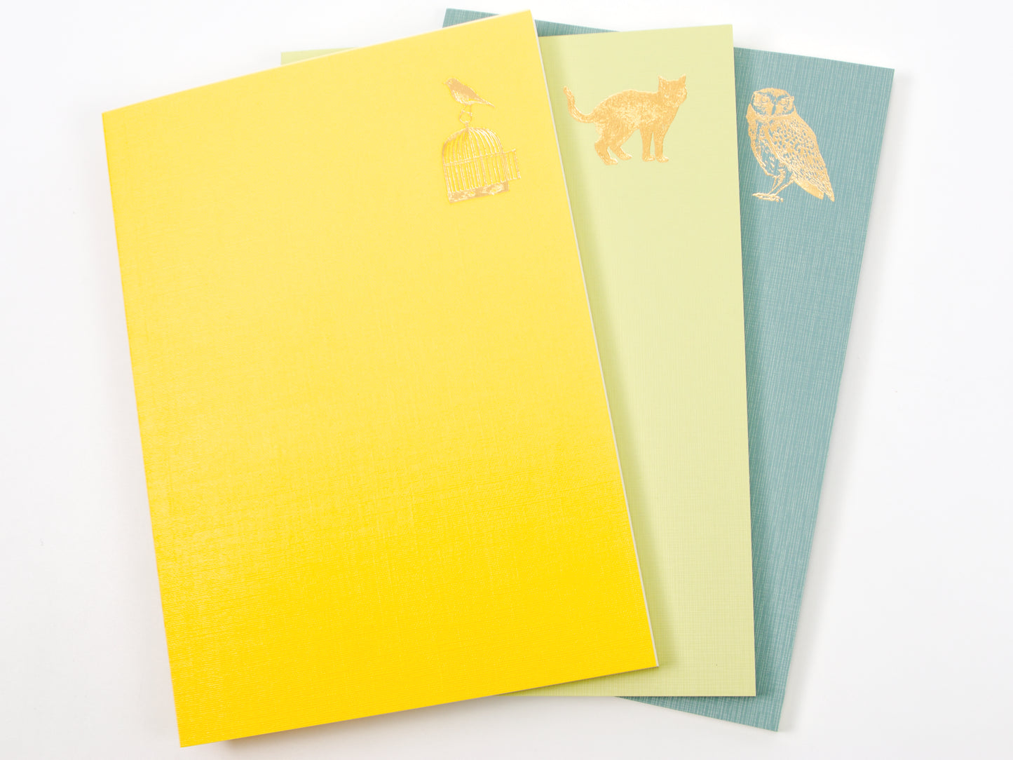Journal de 5 ans de Midori