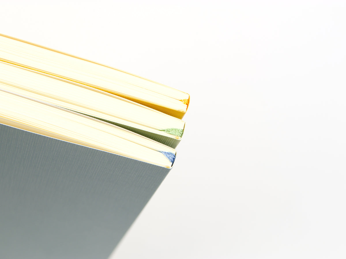 Journal de 5 ans de Midori