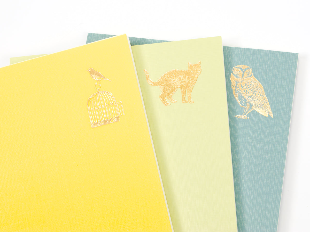 Journal de 5 ans de Midori