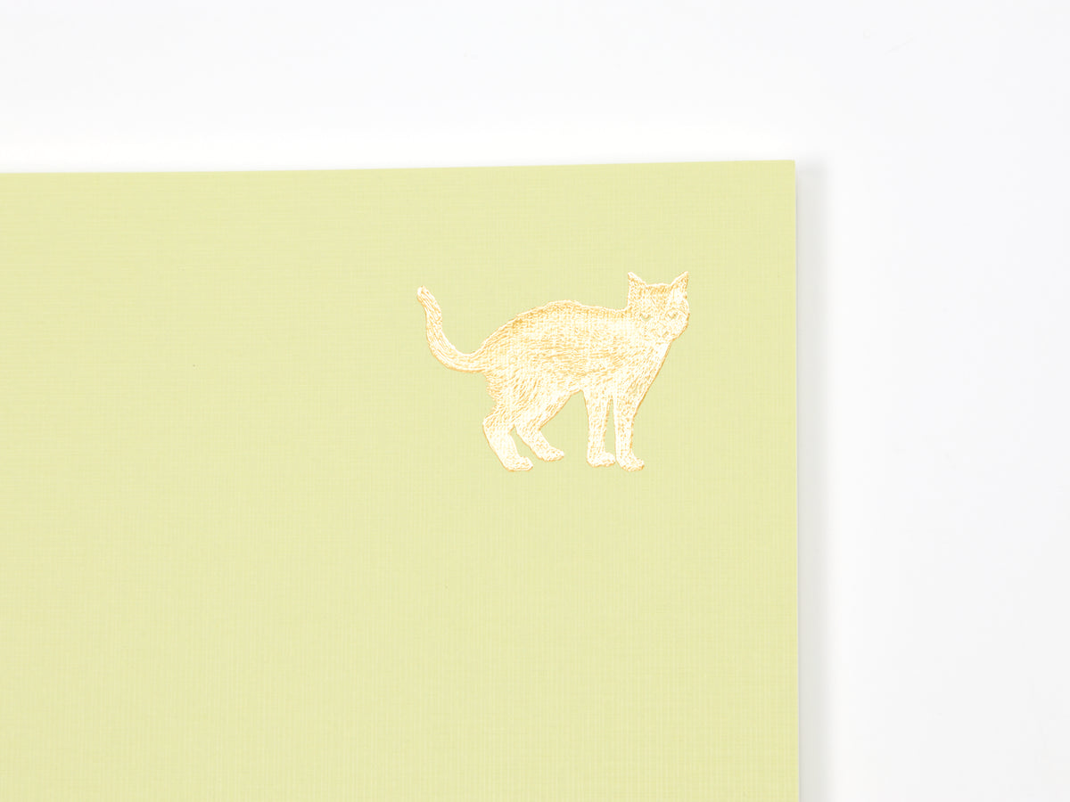 Journal de 5 ans de Midori