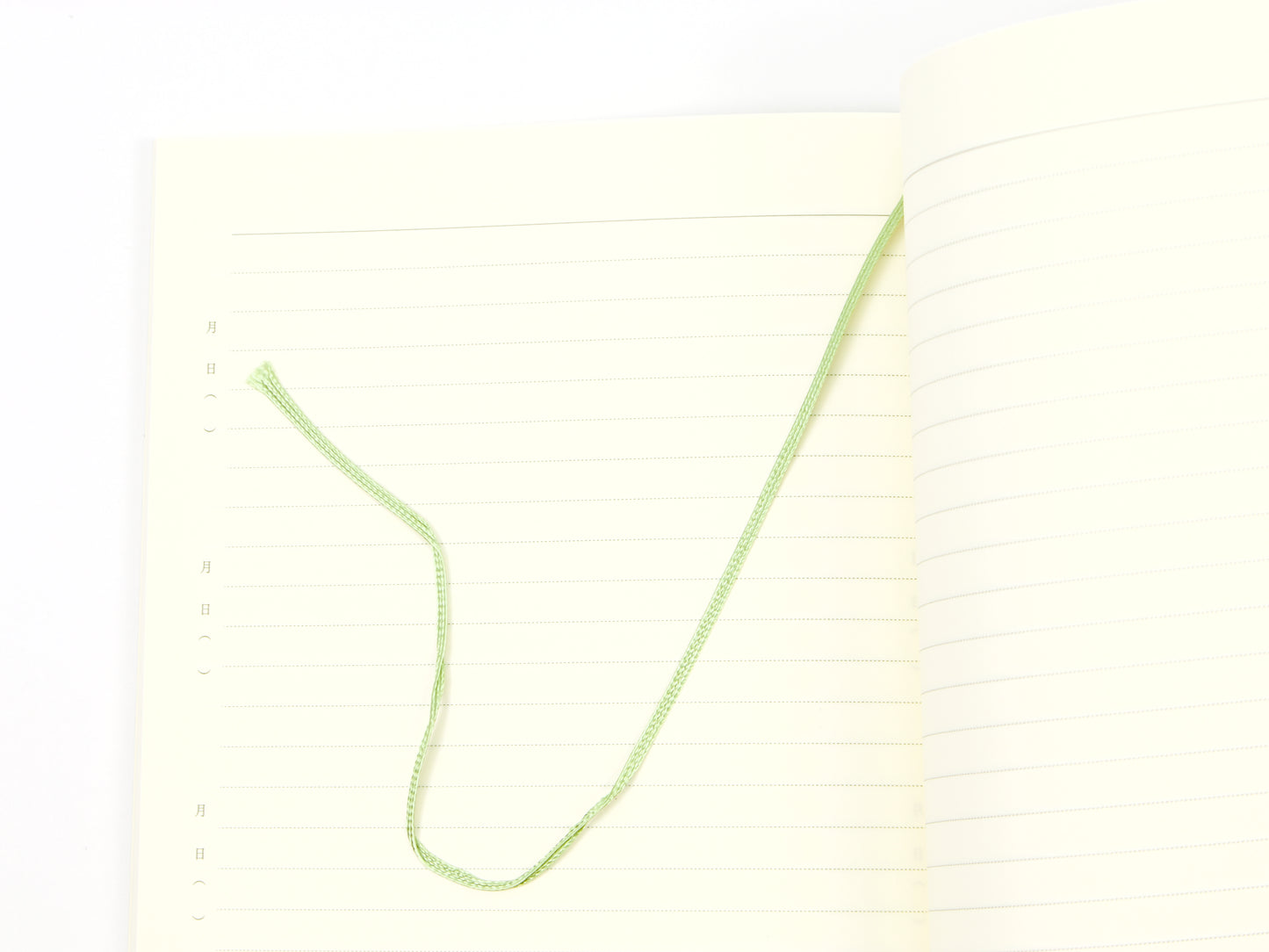 Journal de 5 ans de Midori