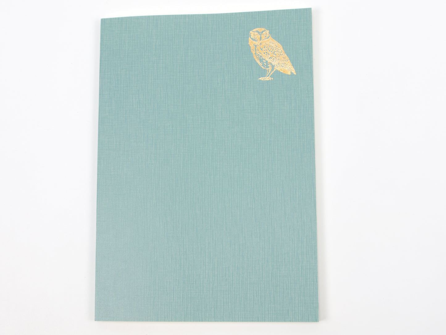 Journal de 5 ans de Midori