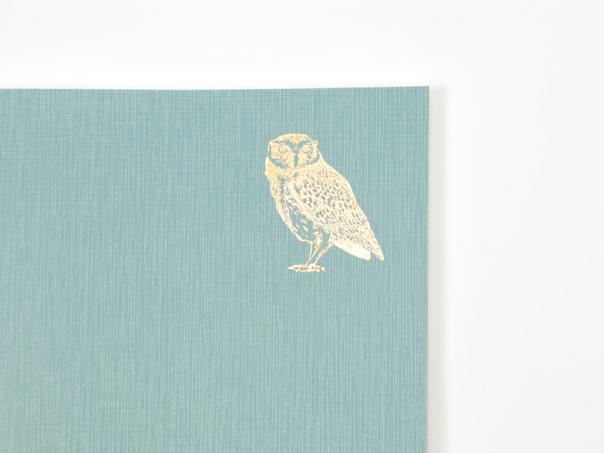 Journal de 5 ans de Midori