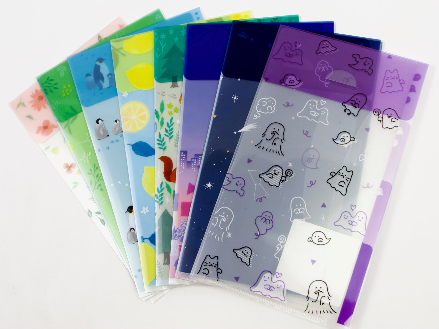 Midori Clear Folder A5 Slim