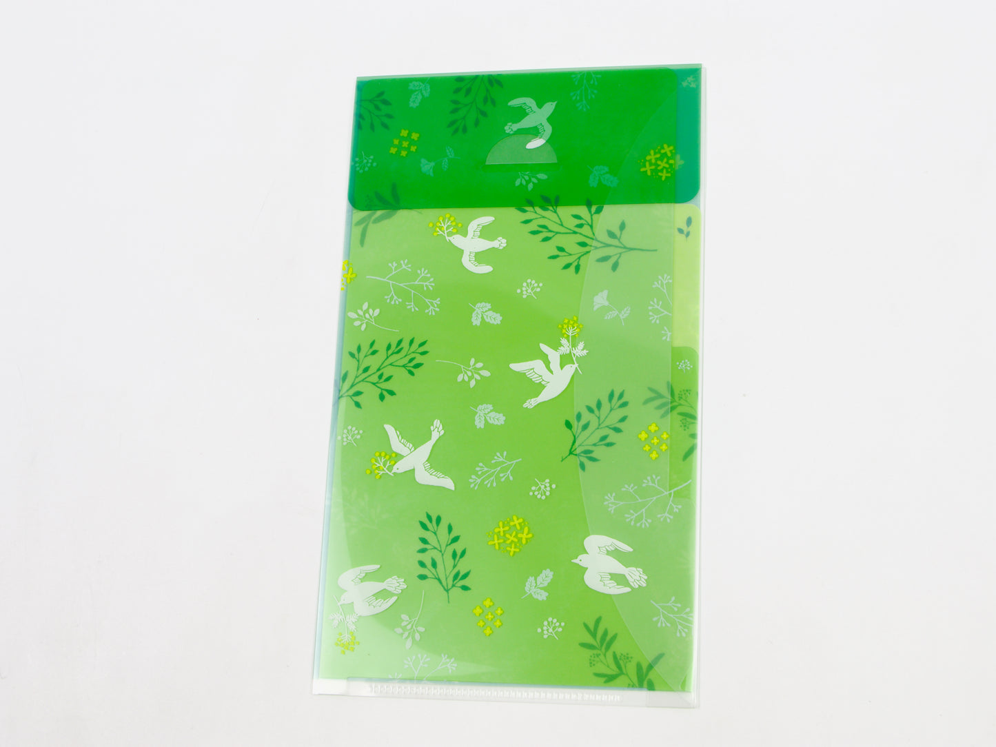 Midori Clear Folder A5 Slim