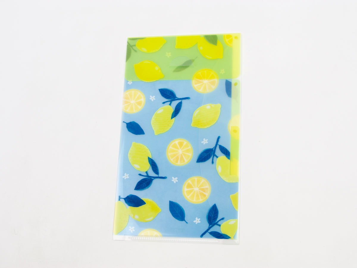 Midori Clear Folder A5 Slim