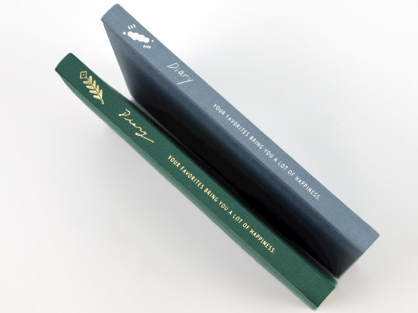 Journal de 5 ans de Midori