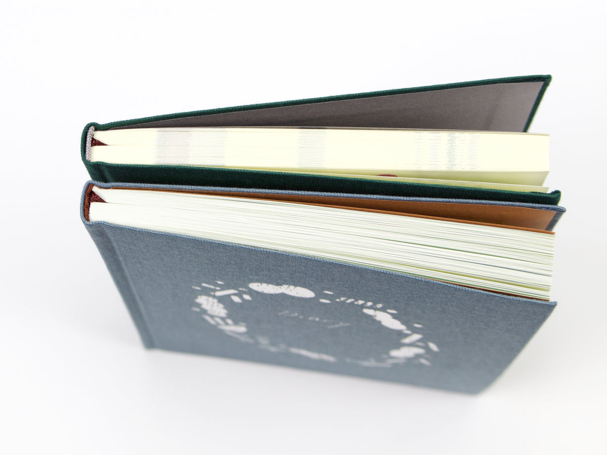 Journal de 5 ans de Midori
