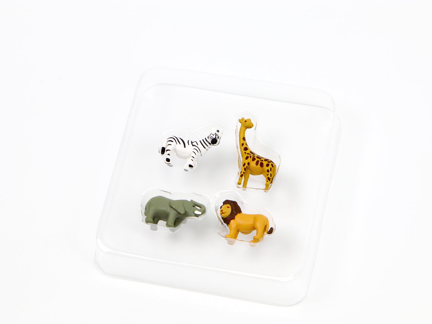 Midori Mini Magnets