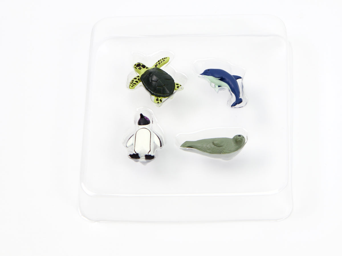 Midori Mini Magnets