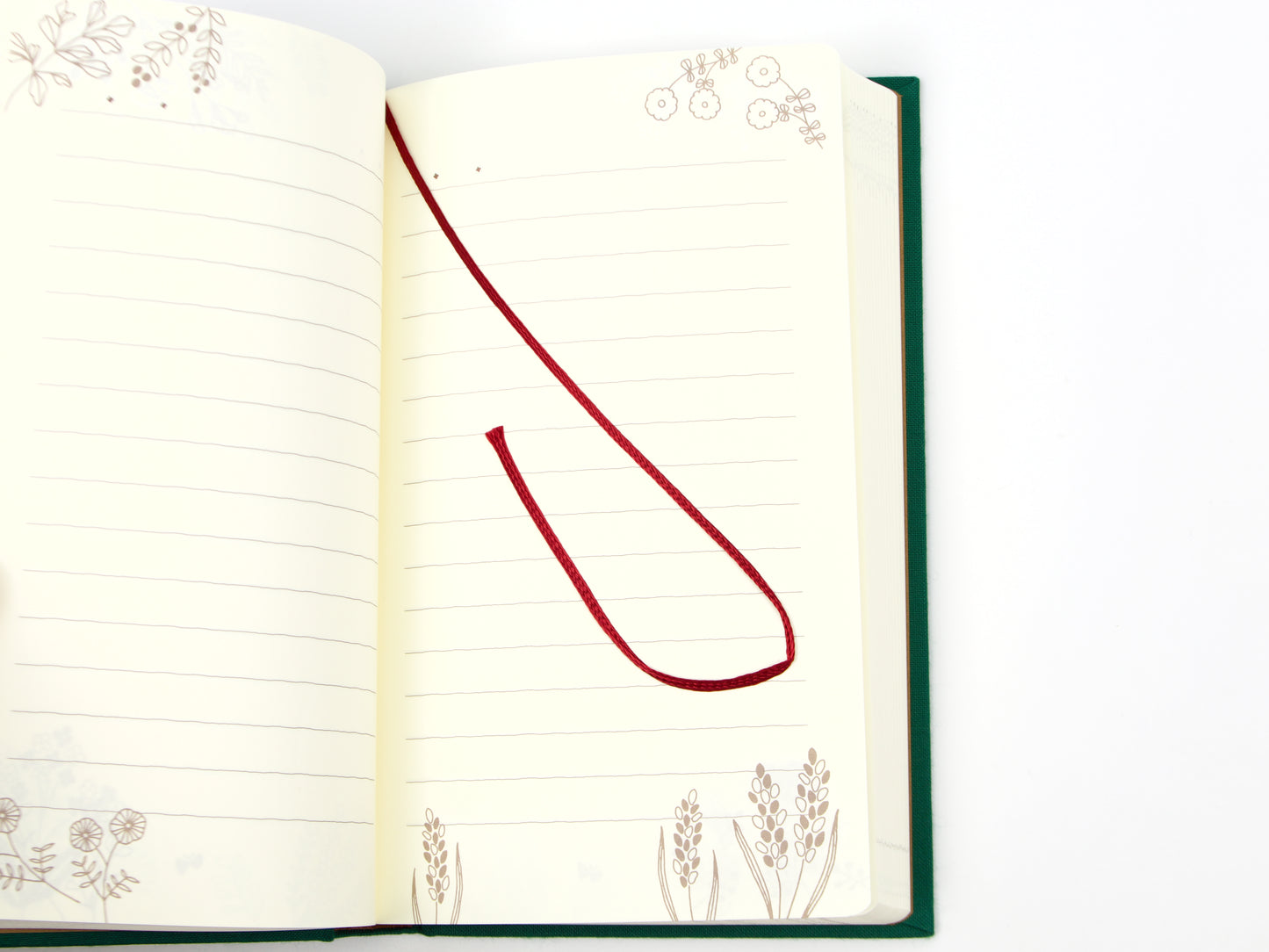 Midori 1 Year Diary My Stories and Memories