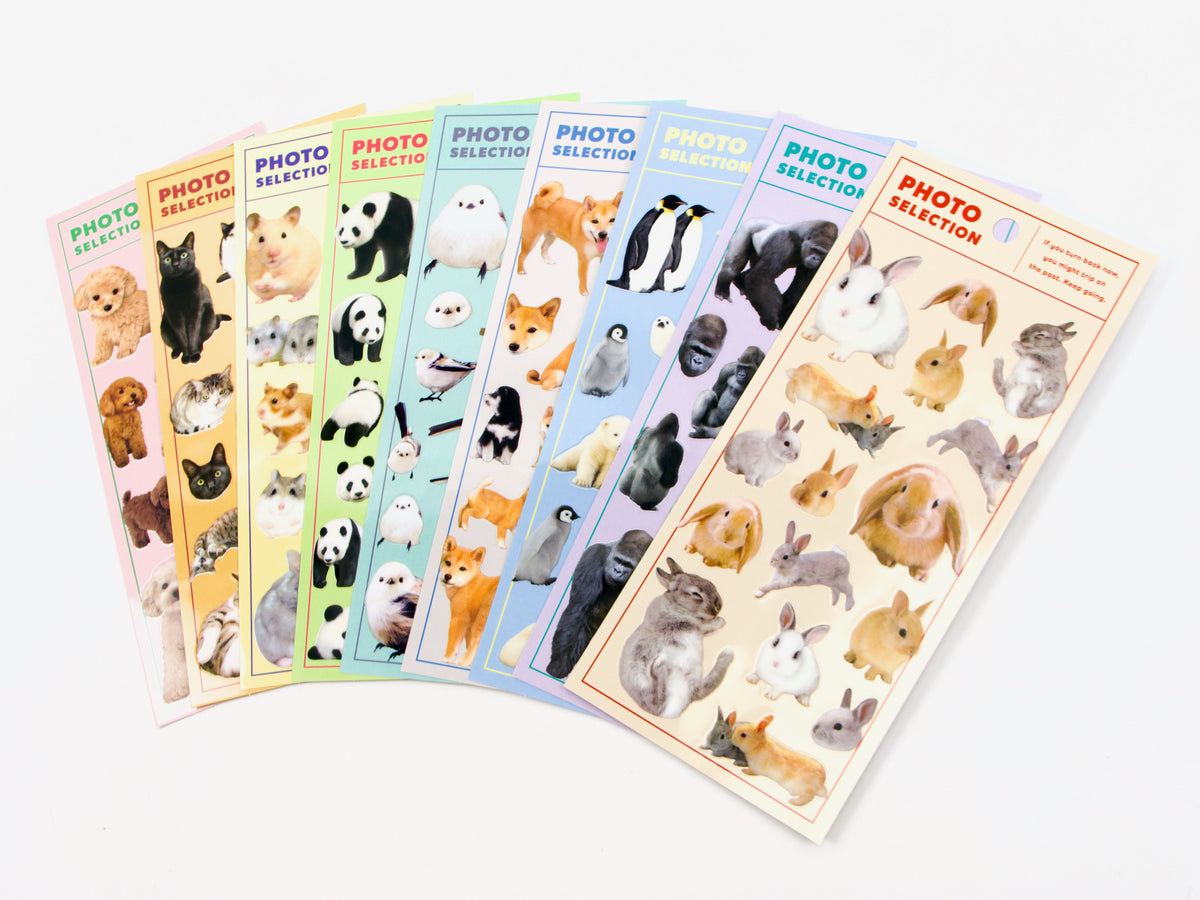 Mind Wave Photo Selection Stickers