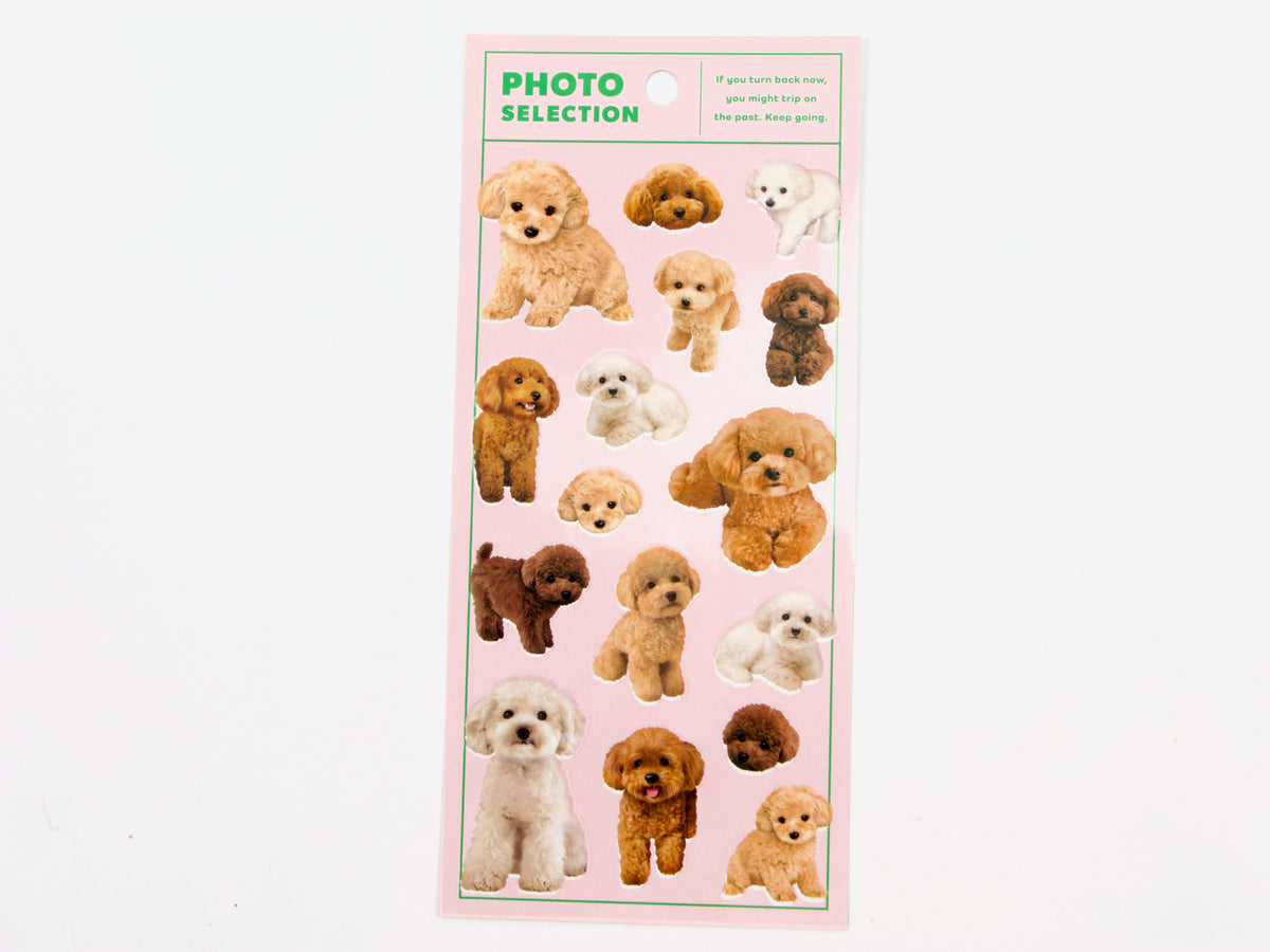 Mind Wave Photo Selection Stickers