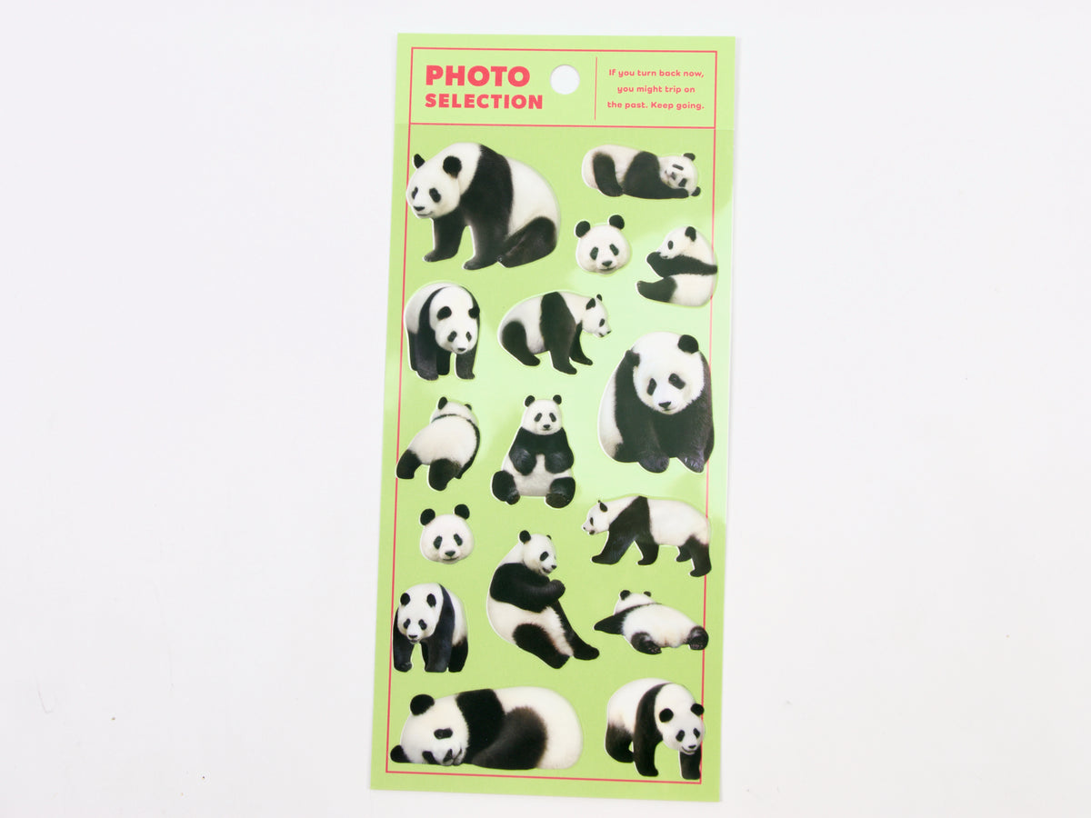 Mind Wave Photo Selection Stickers