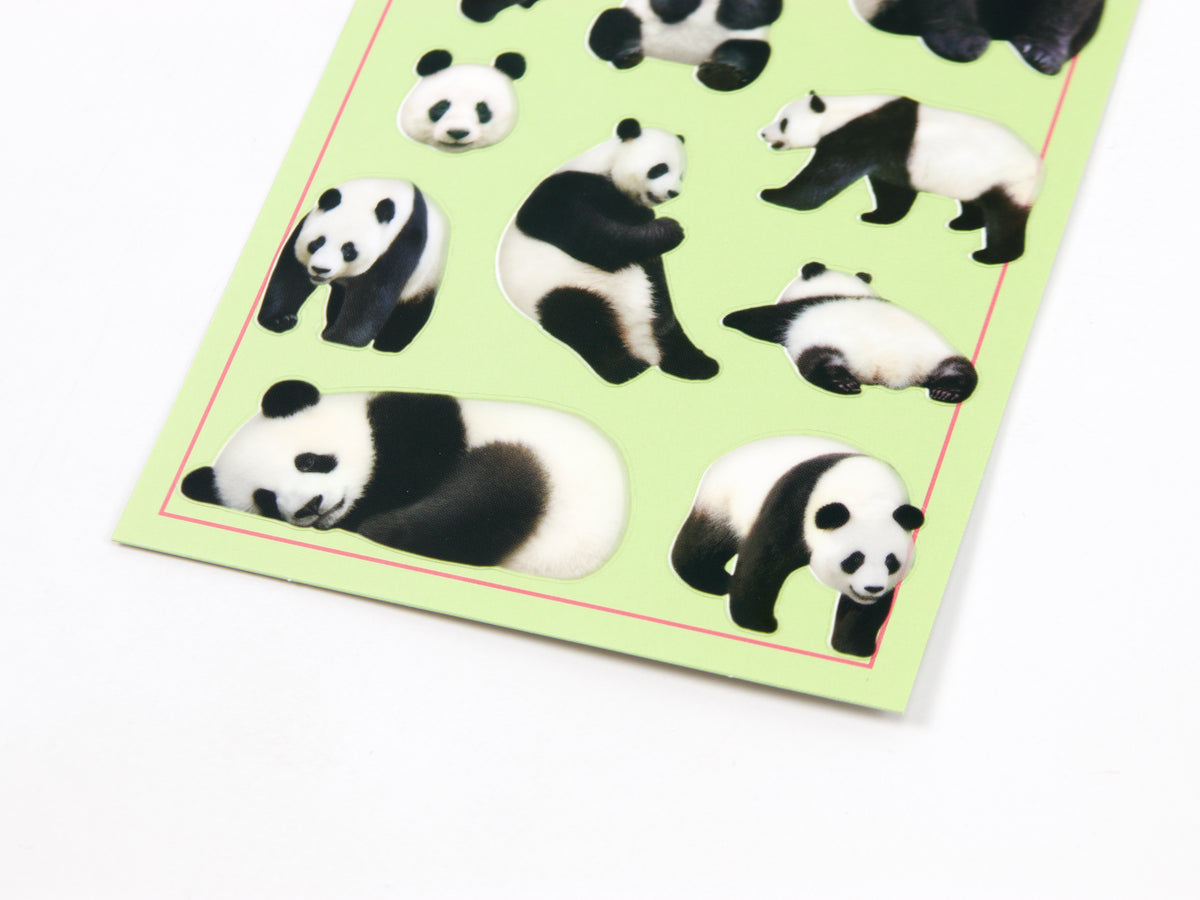 Mind Wave Photo Selection Stickers