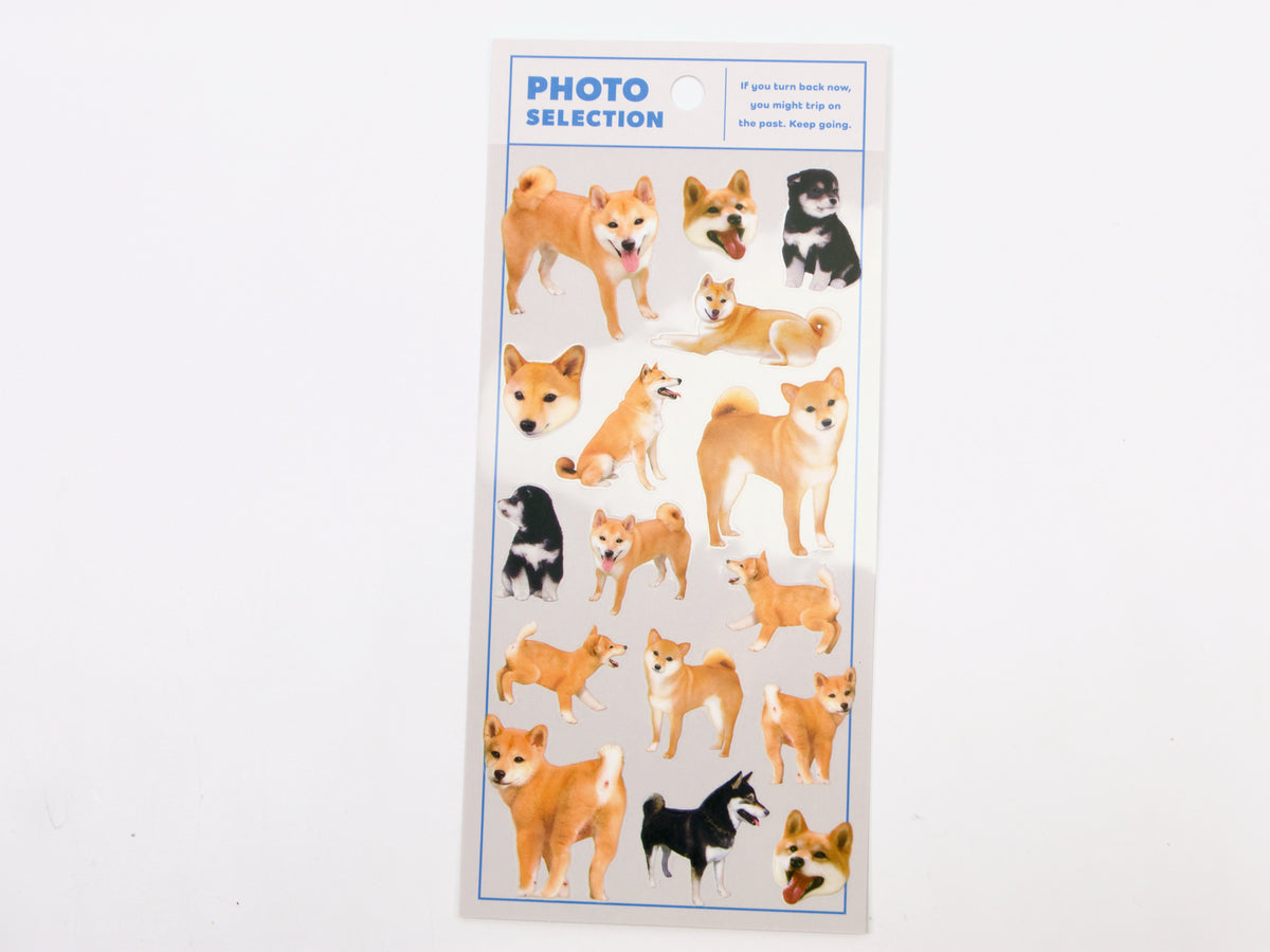 Mind Wave Photo Selection Stickers