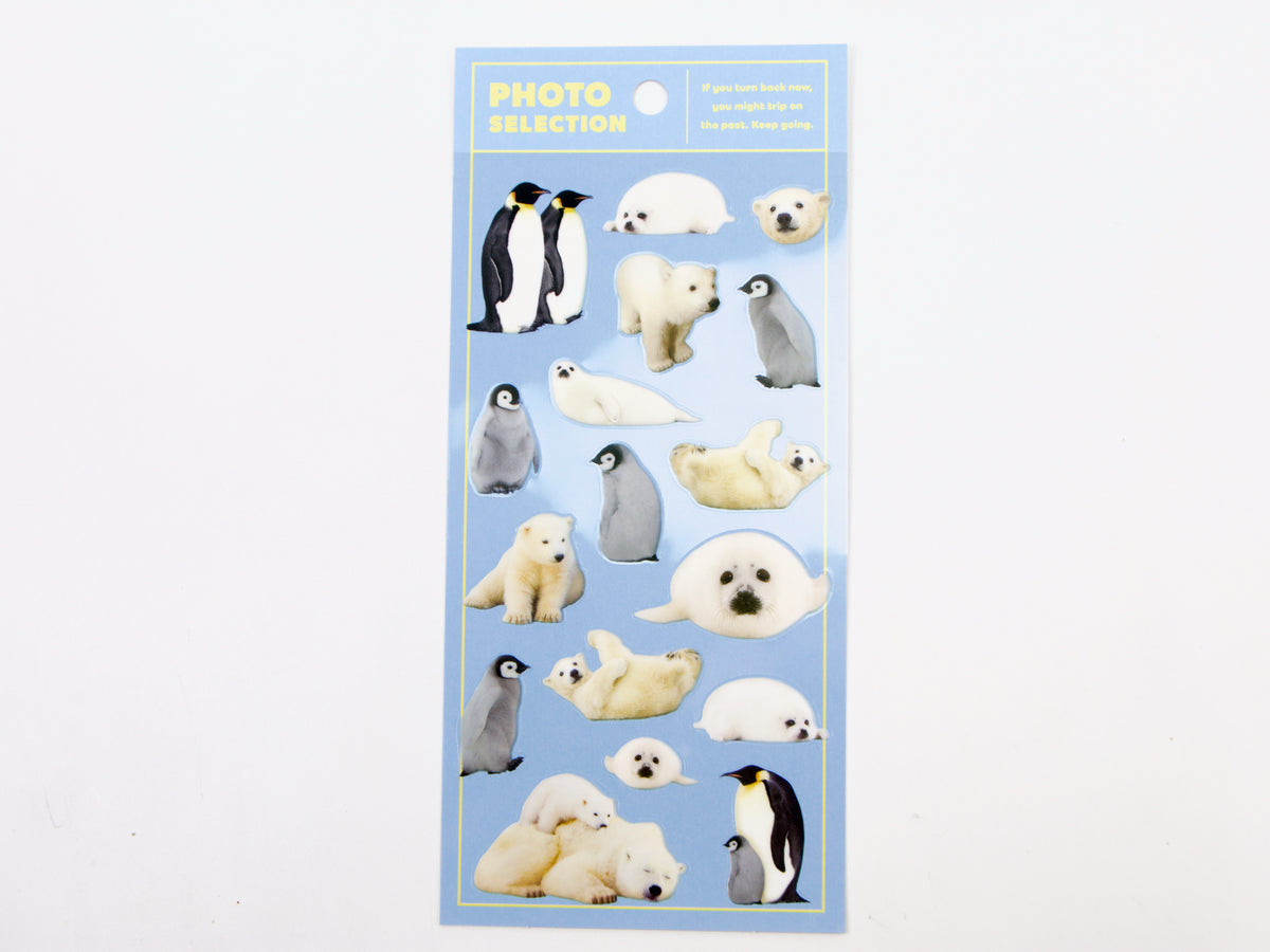 Mind Wave Photo Selection Stickers