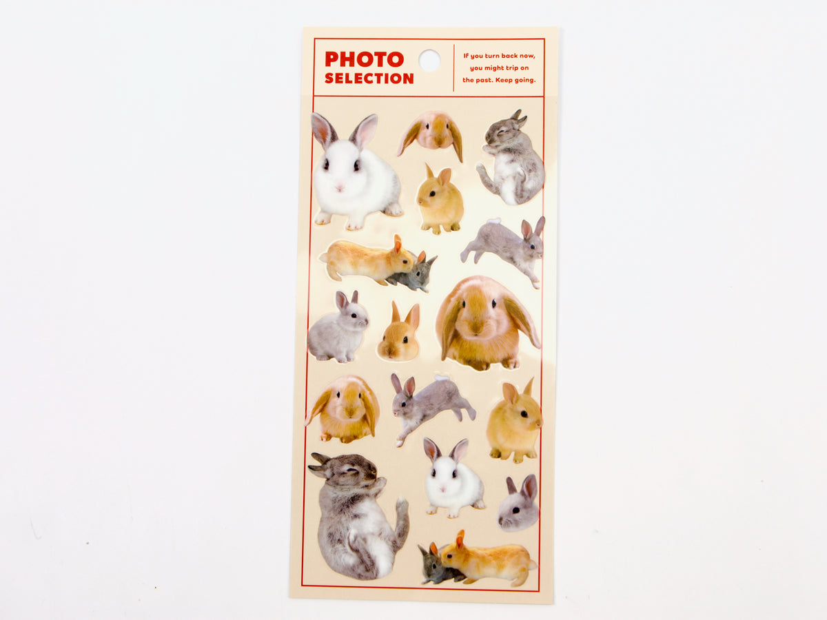 Mind Wave Photo Selection Stickers