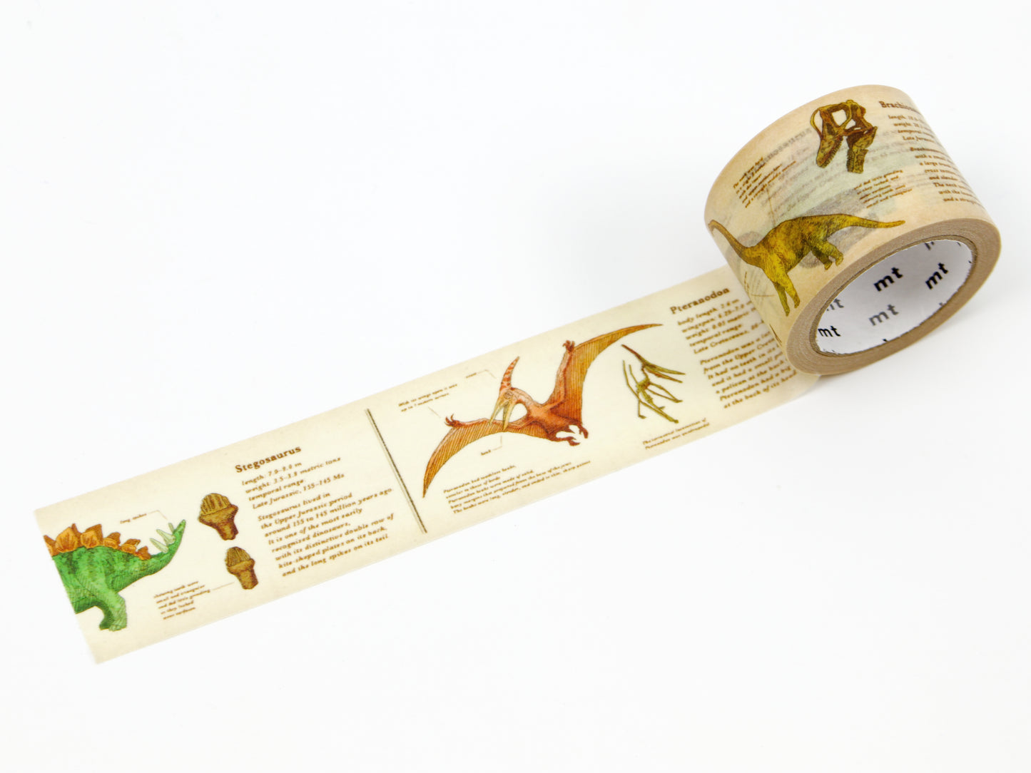 mt ex Encyclopedia of Dinosaurs