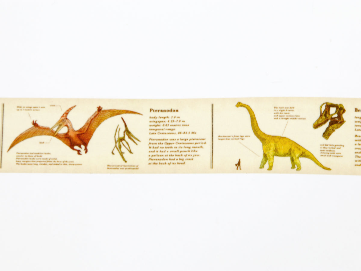 mt ex Encyclopedia of Dinosaurs