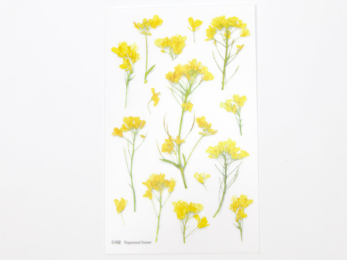 Appree Pressed Flower Stickers