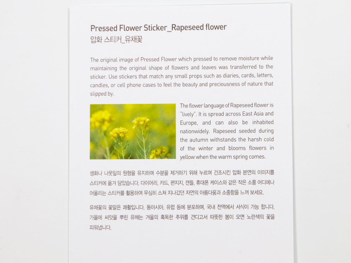 Appree Pressed Flower Stickers