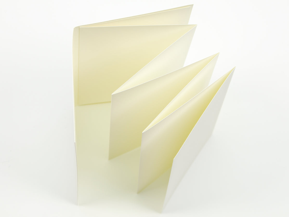 Passport 018 Accordion Fold Paper
