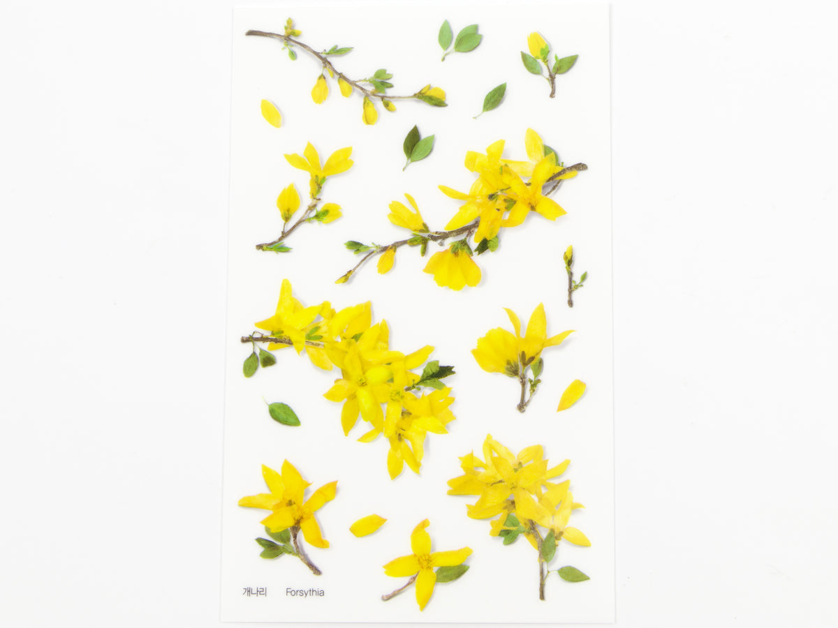 Appree Pressed Flower Stickers