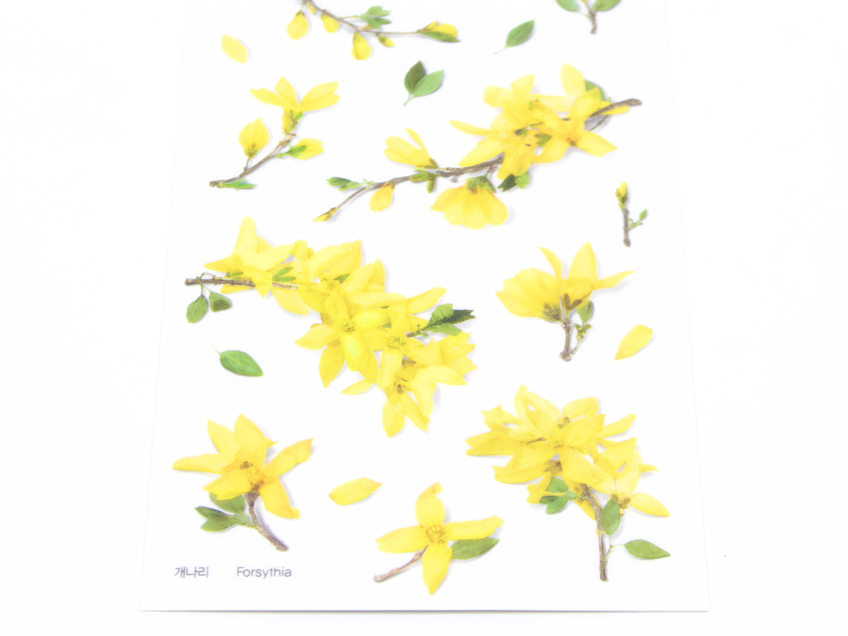 Appree Pressed Flower Stickers