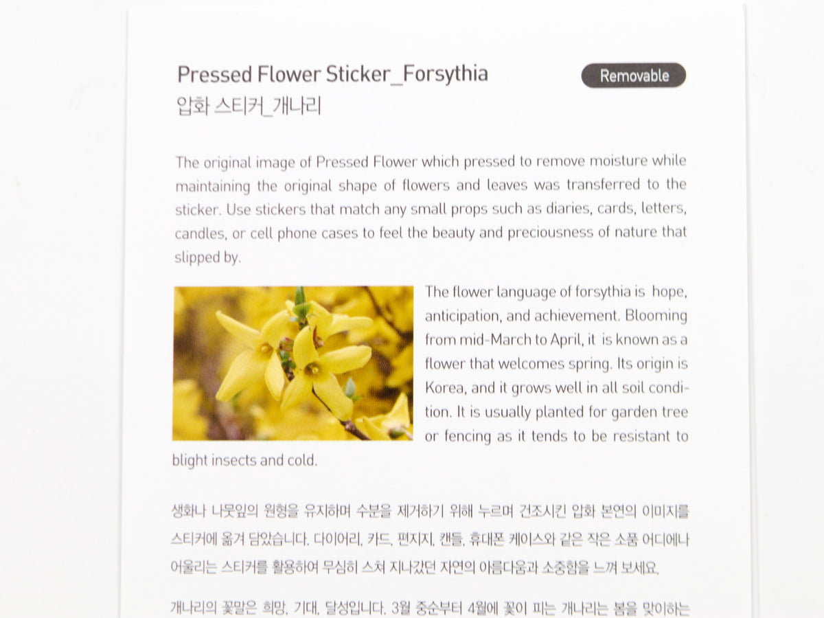 Appree Pressed Flower Stickers