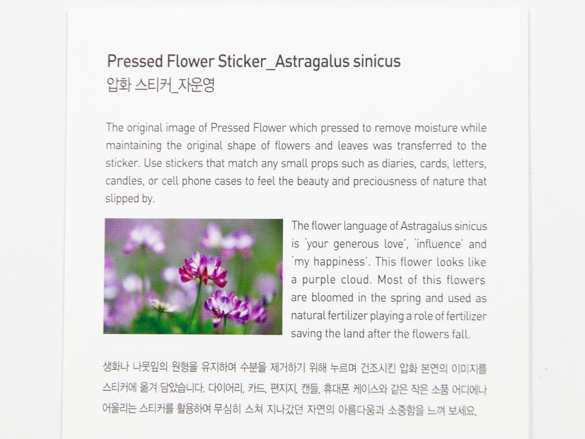 Appree Pressed Flower Stickers