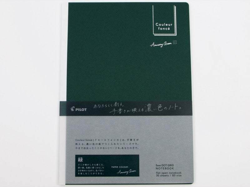 Pilot Couleur foncé B5