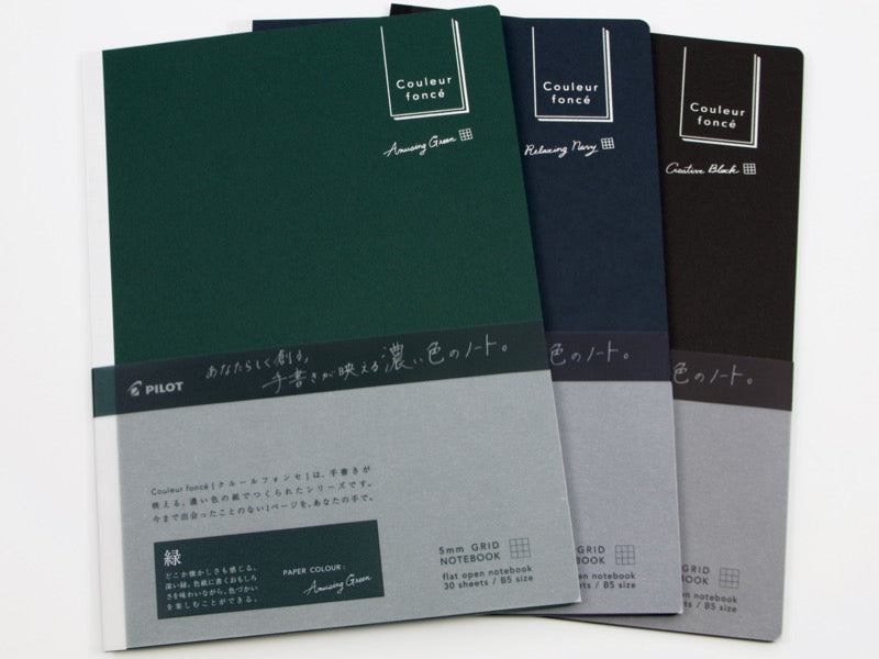 Pilot Couleur foncé B5