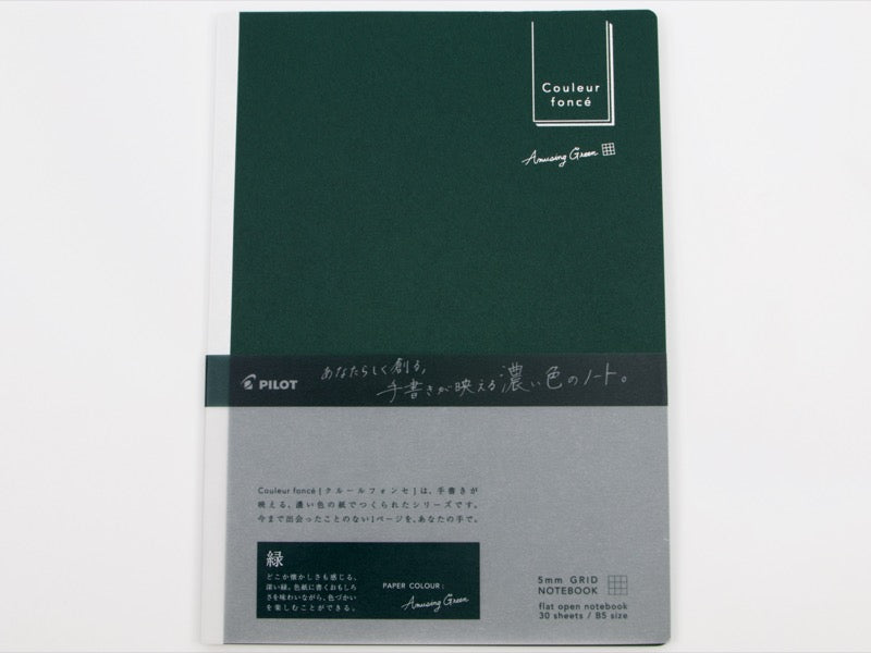Pilot Couleur foncé B5