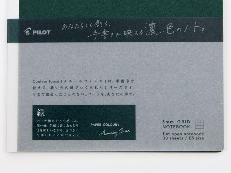 Pilot Couleur foncé B5