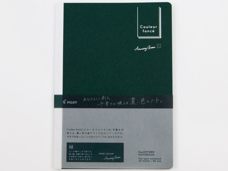Pilot Couleur foncé B6