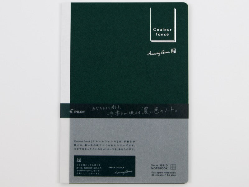 Pilot Couleur foncé B6