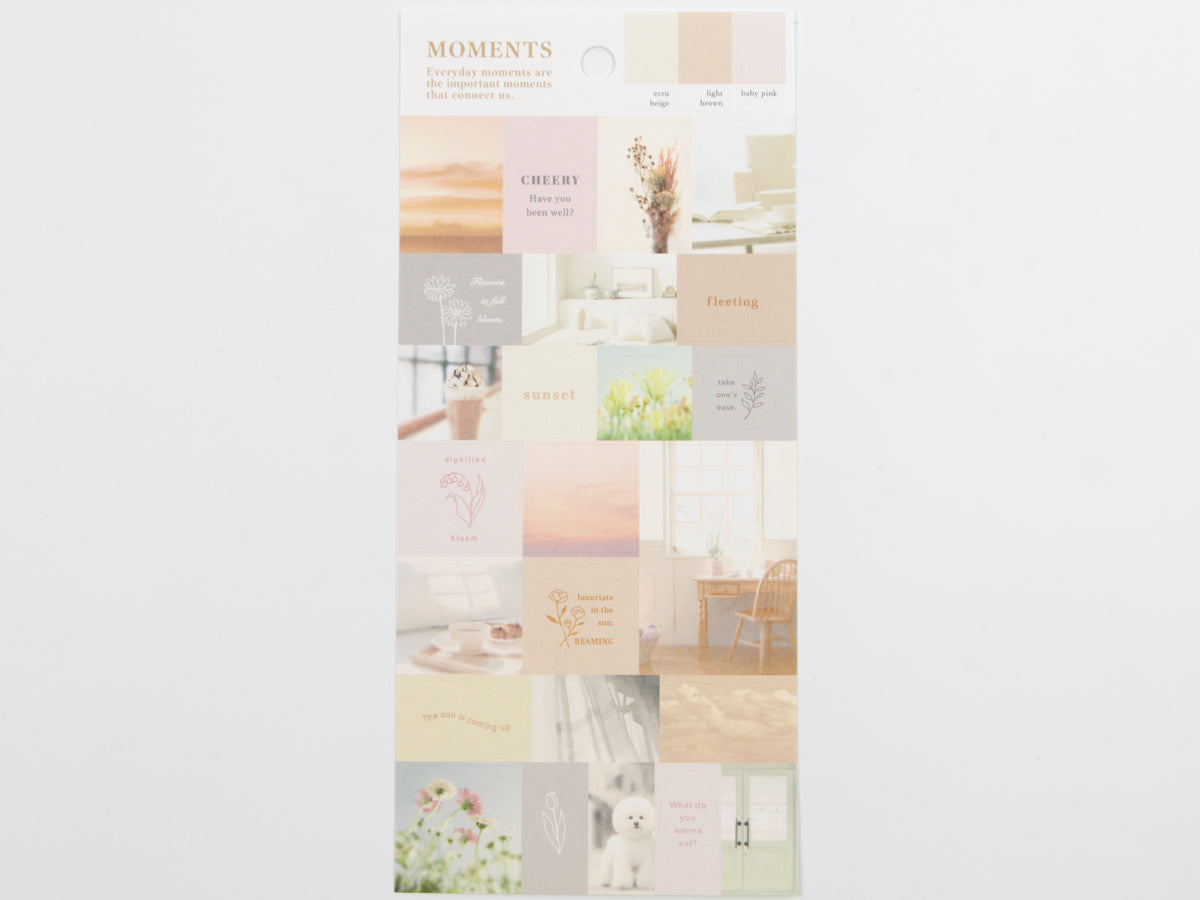 Mind Wave Moments Colorway Stickers