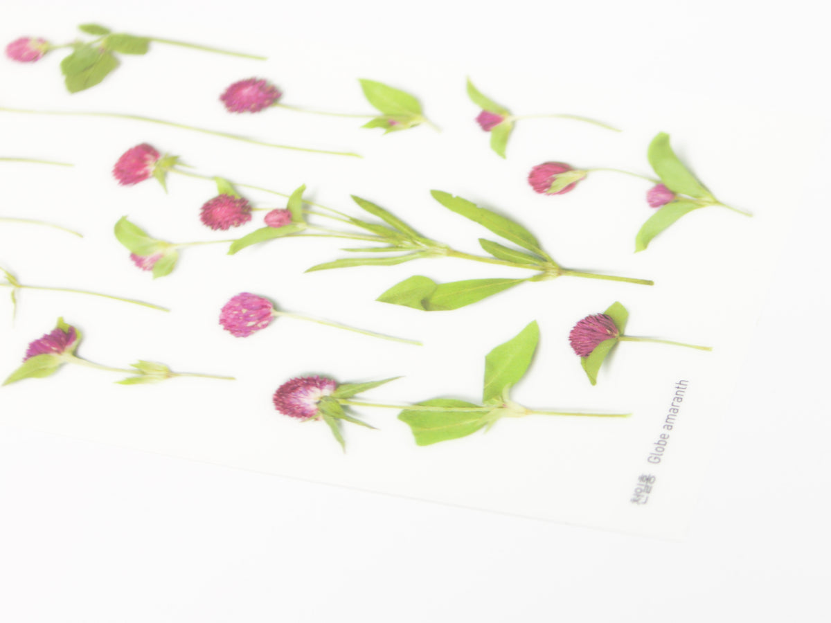 Appree Pressed Flower Stickers