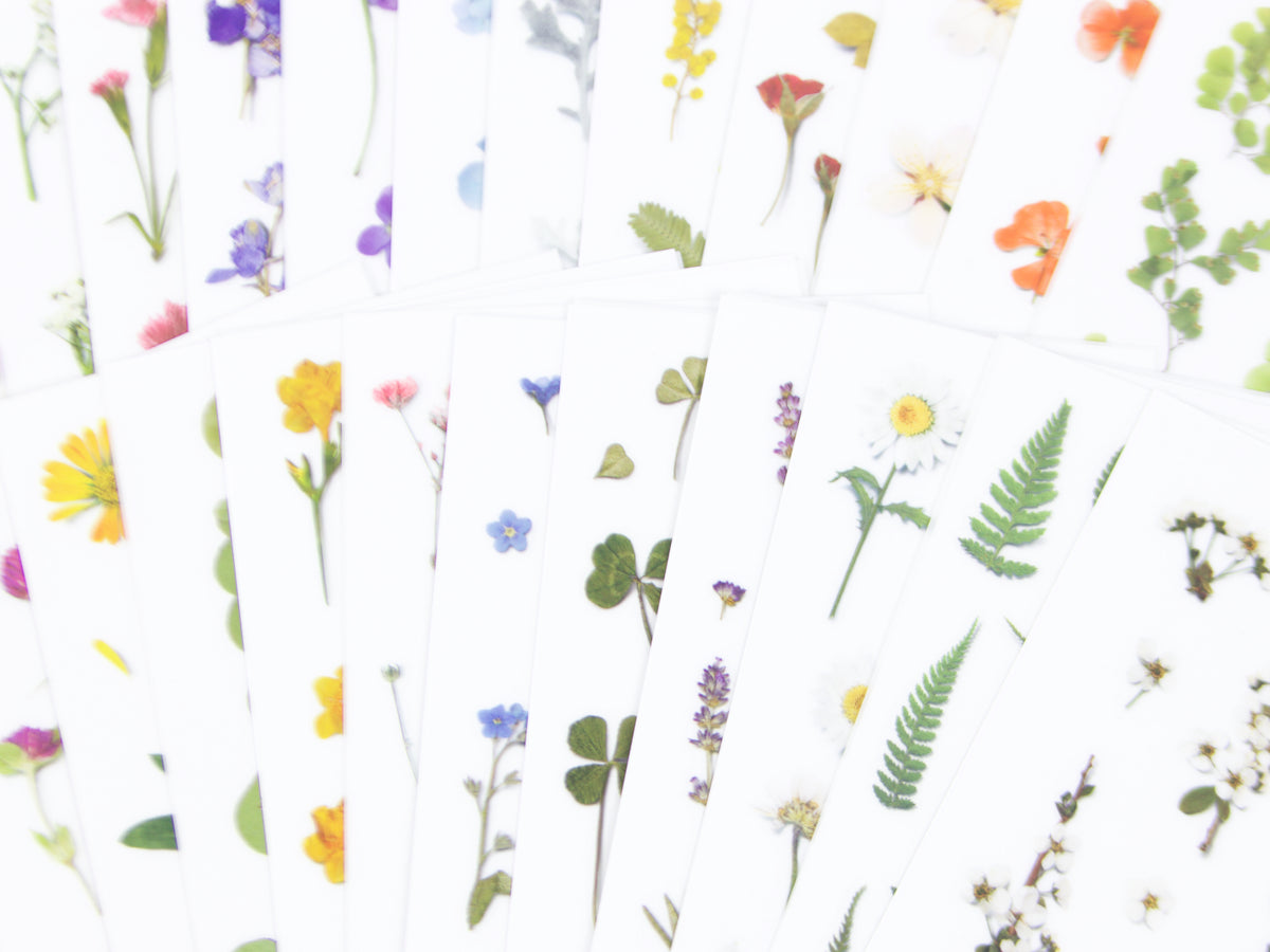 Appree Pressed Flower Stickers