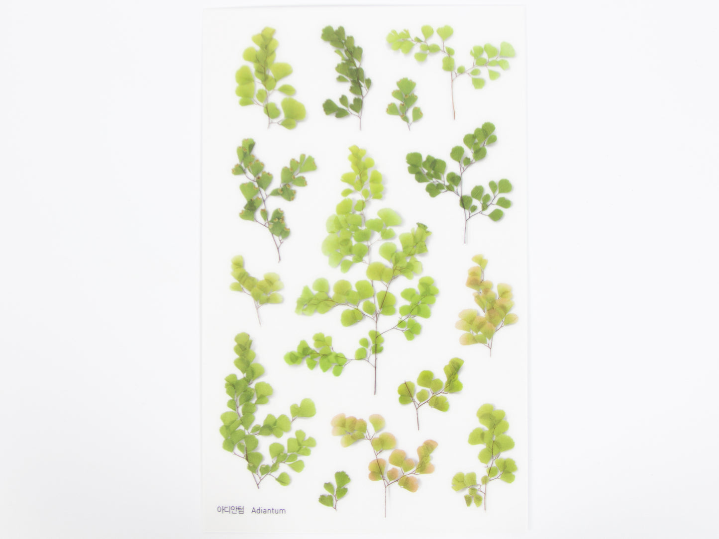 Appree Pressed Flower Stickers