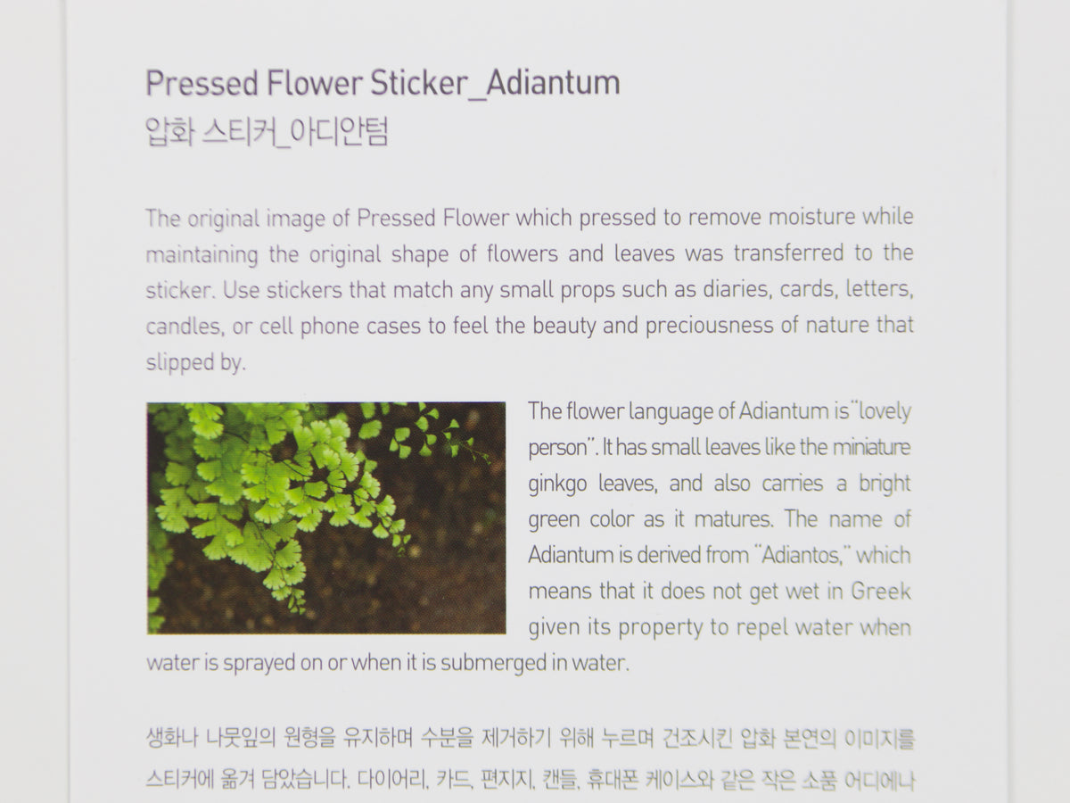 Appree Pressed Flower Stickers