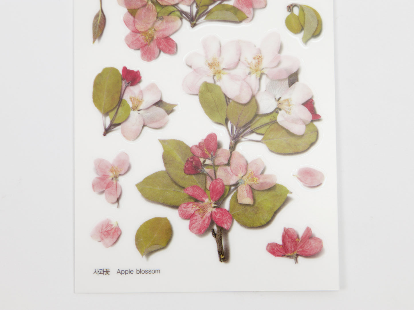 Appree Pressed Flower Stickers