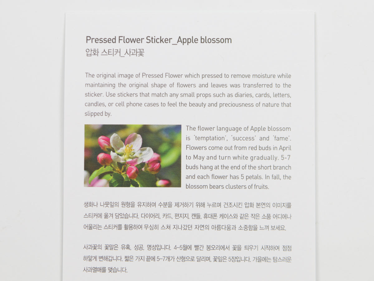 Appree Pressed Flower Stickers