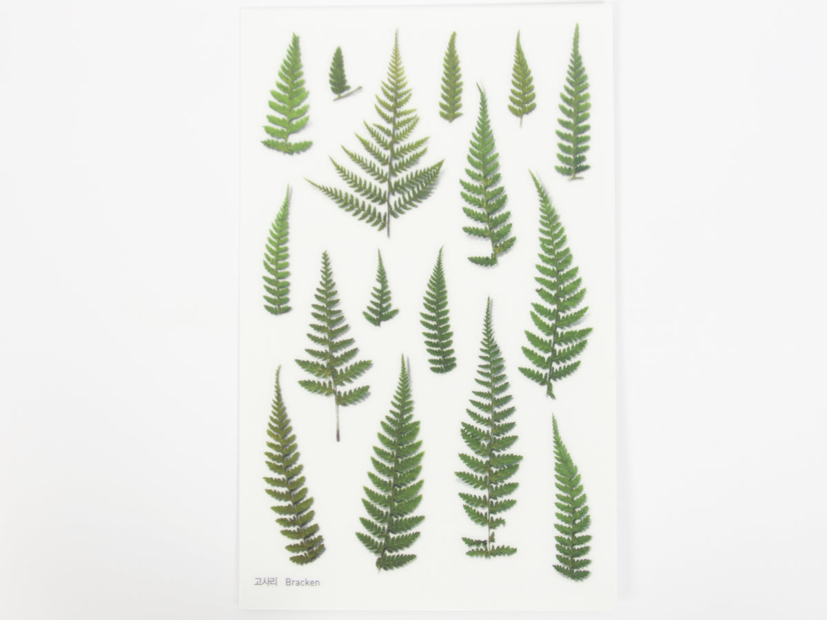 Appree Pressed Flower Stickers