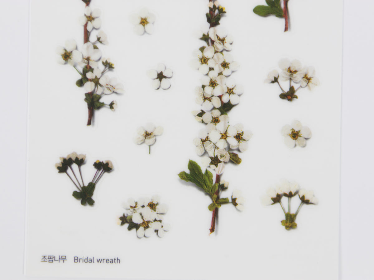 Appree Pressed Flower Stickers